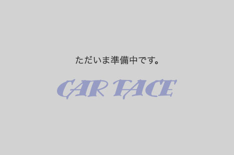 クリーニング後