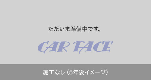 施工なし（5年後イメージ）